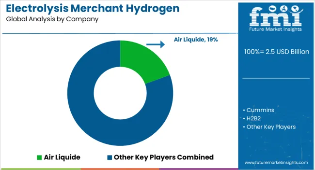 Electrolysis Merchant Hydrogen Generation Market   Analysis By Company